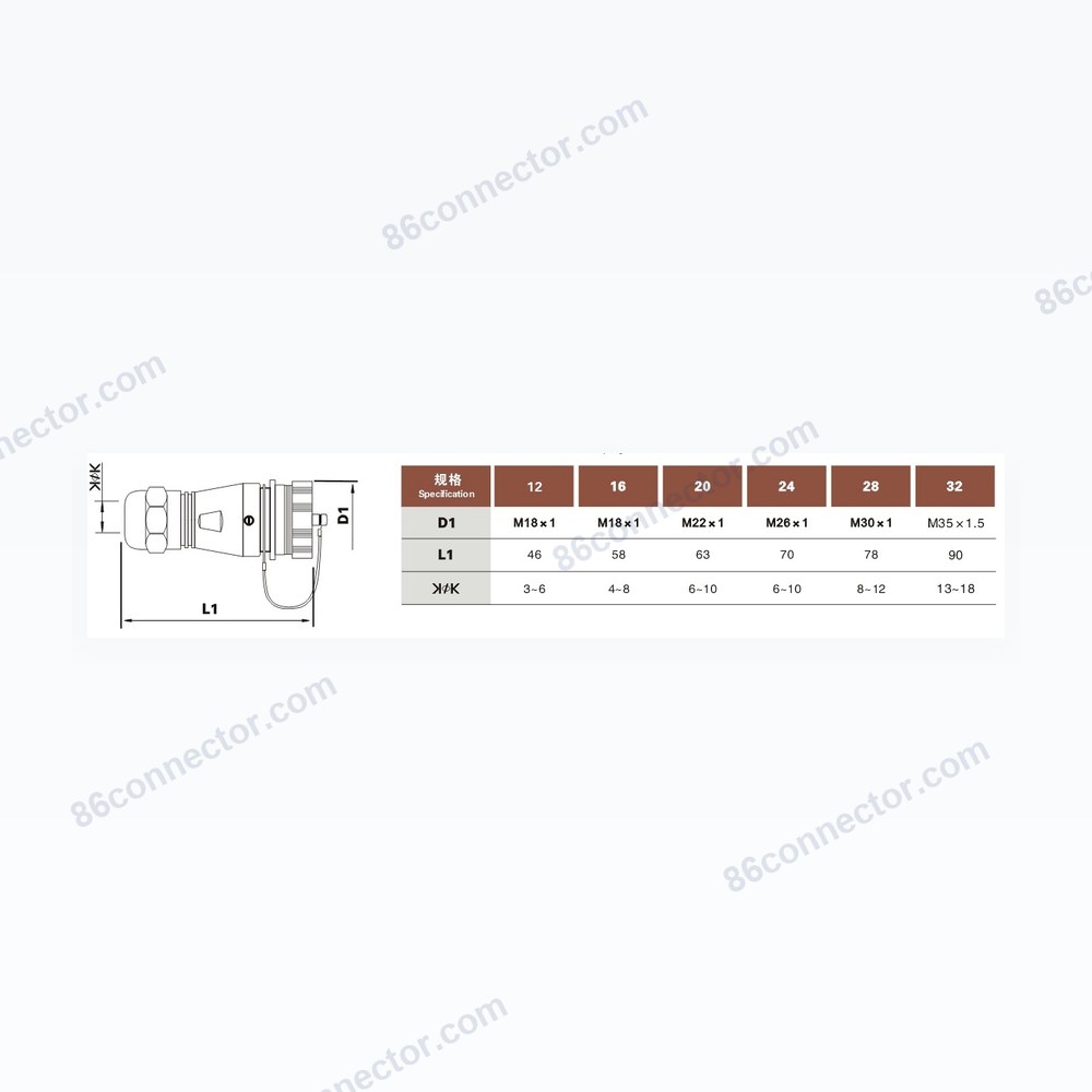 DG — Dimensions / specs